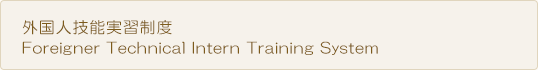 OlZ\Kx (Foreigner Technical Intern Training System)