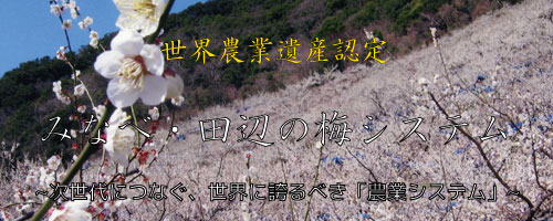 Е|[^TCg