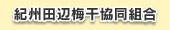 IBcӔ~g