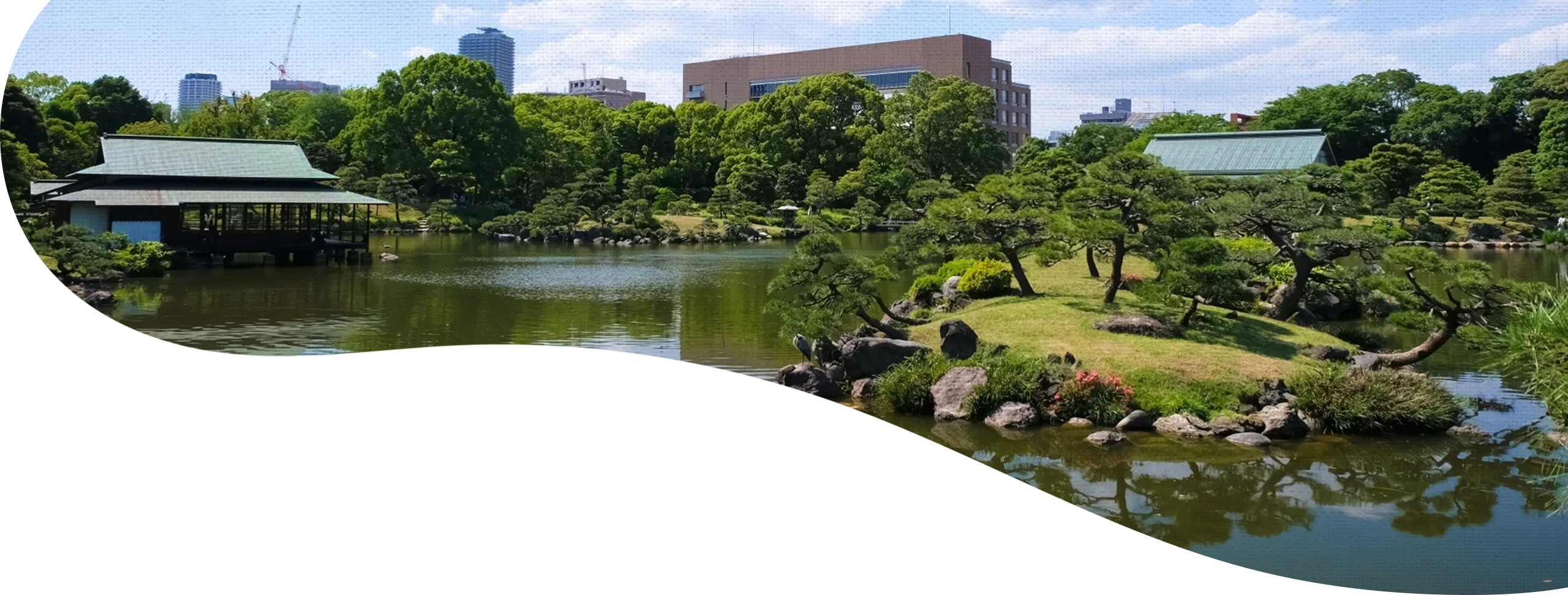 背景画像